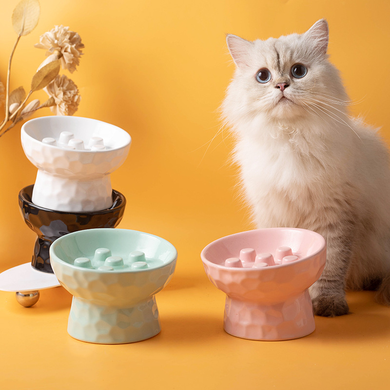1pc 猫ボウルセラミック高足スローフードアンチノック傾斜口 - Slow Cooker Ceramic のレビューと価格